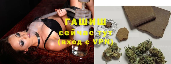 дживик Няндома