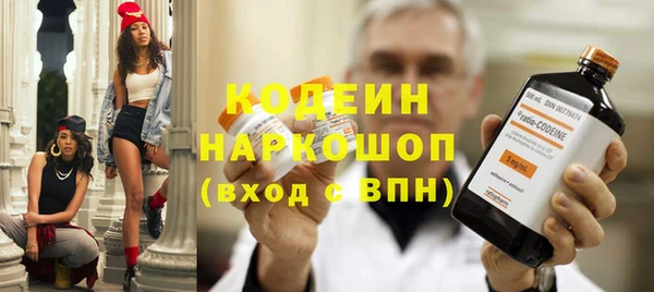 дживик Няндома