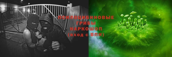 дживик Няндома