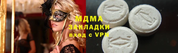 дживик Няндома