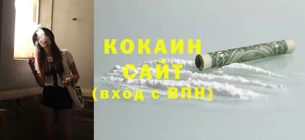дживик Няндома