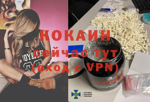 дживик Няндома
