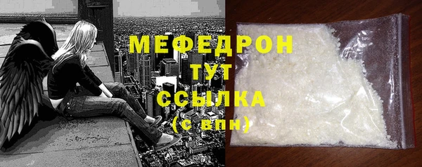 дживик Няндома