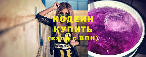 дживик Няндома