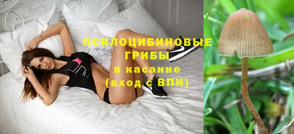 spice Видное
