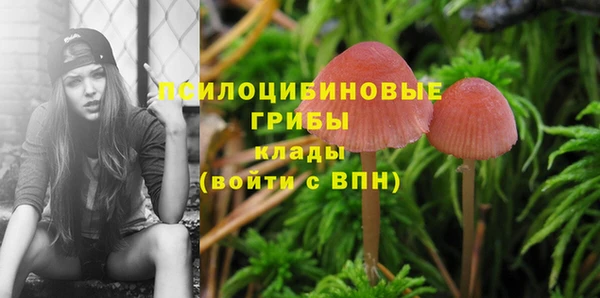 таблы Осташков