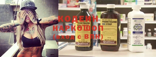 дживик Няндома
