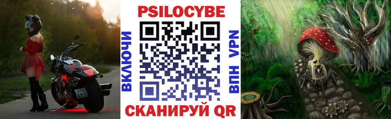 купить закладку  Лысьва  Галлюциногенные грибы Magic Shrooms 