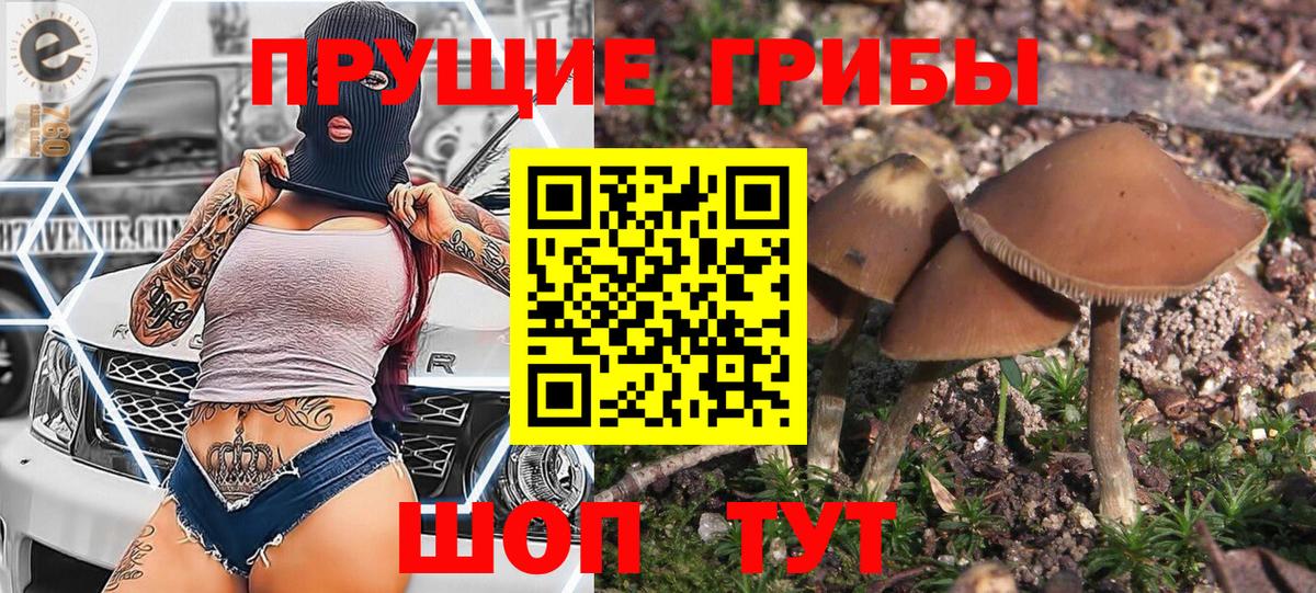 Псилоцибиновые грибы MAGIC MUSHROOMS Лысьва