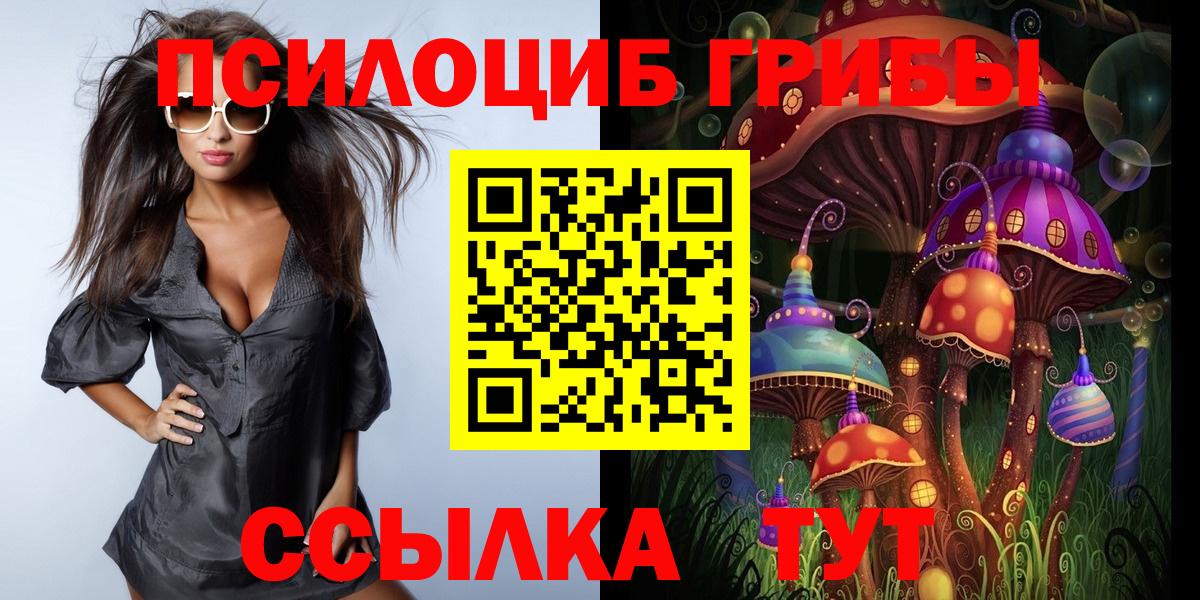 Галлюциногенные грибы Psilocybine cubensis  Вход с VPN  Лысьва 